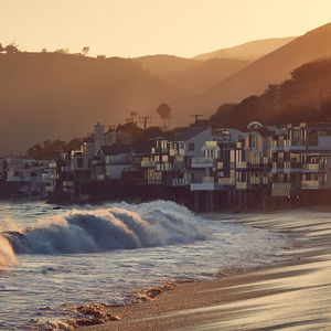 Meet your Posher, Stella